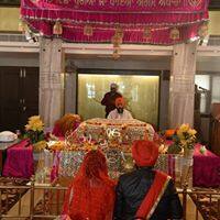 User