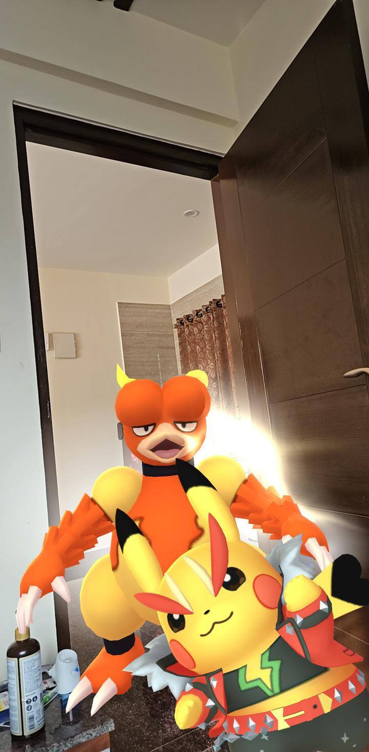 User
