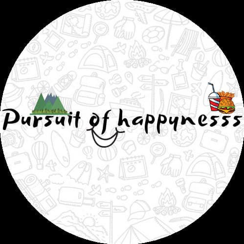 Pursuit.of.happynesss