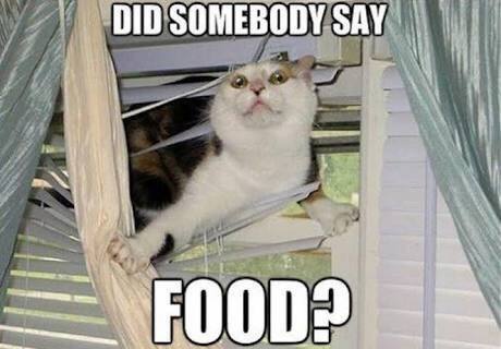 Foood