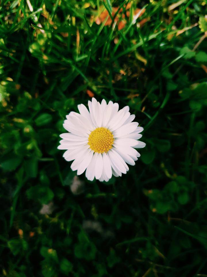 User