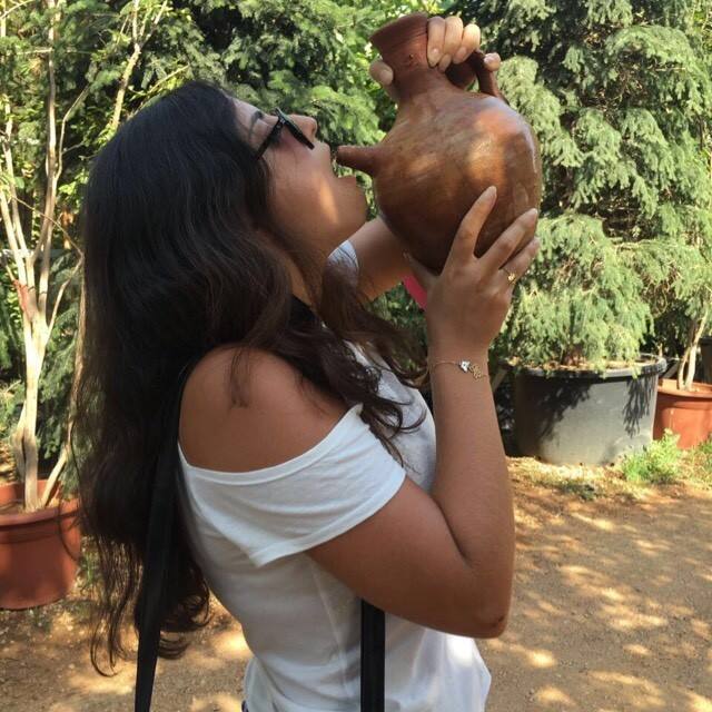 Wingardium Foodiosa