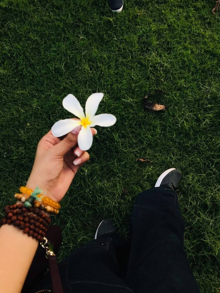 User