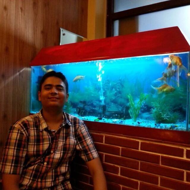 User