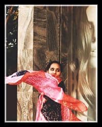 BorderLine Foodaholic