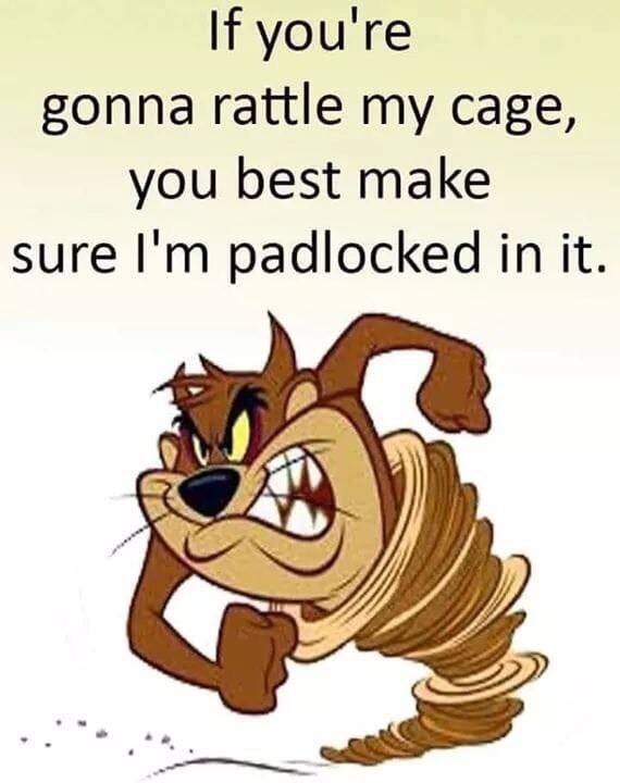 User