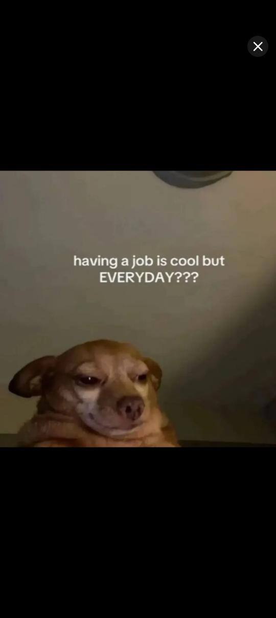 User