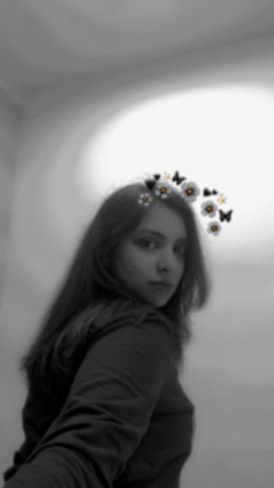 User