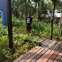 User