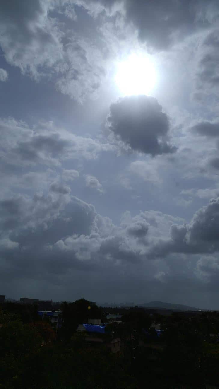 Maitreyee Walawalkar