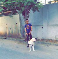 User