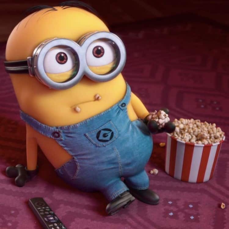 Thewanderingminions