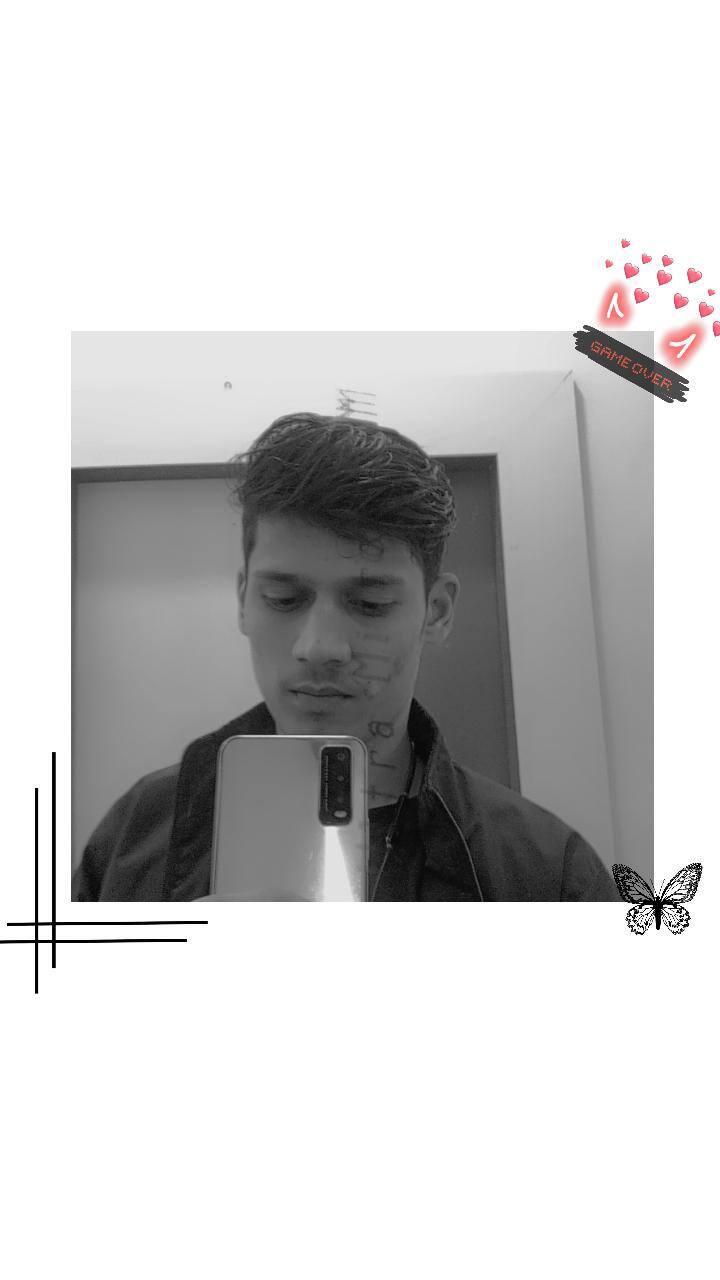 User