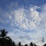 Elango B