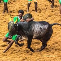 Muthu Kumar R