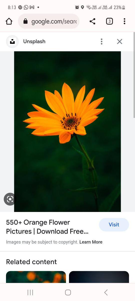 User