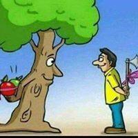 User