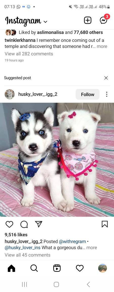 Anikesh Lodhi Rajput