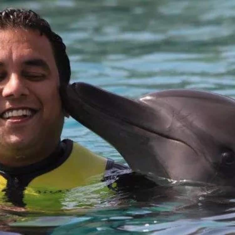 Foodzilla Salilmehta.com