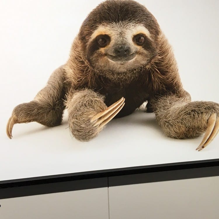 Dough Bros, Torquay in Torquay Restaurant menu and reviews