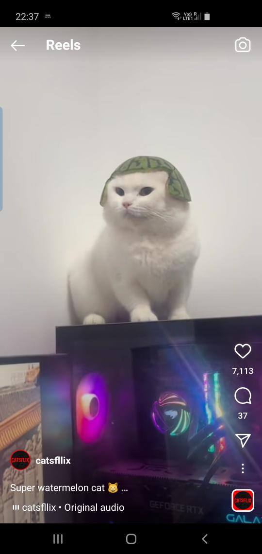 User