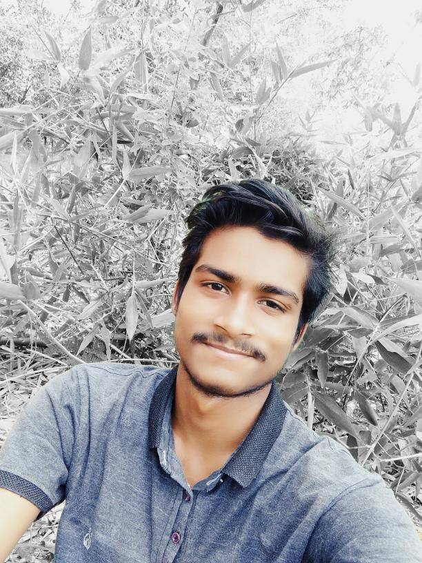 User