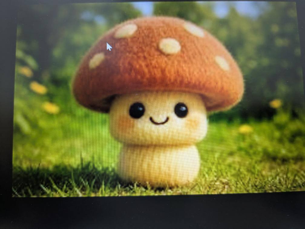 User
