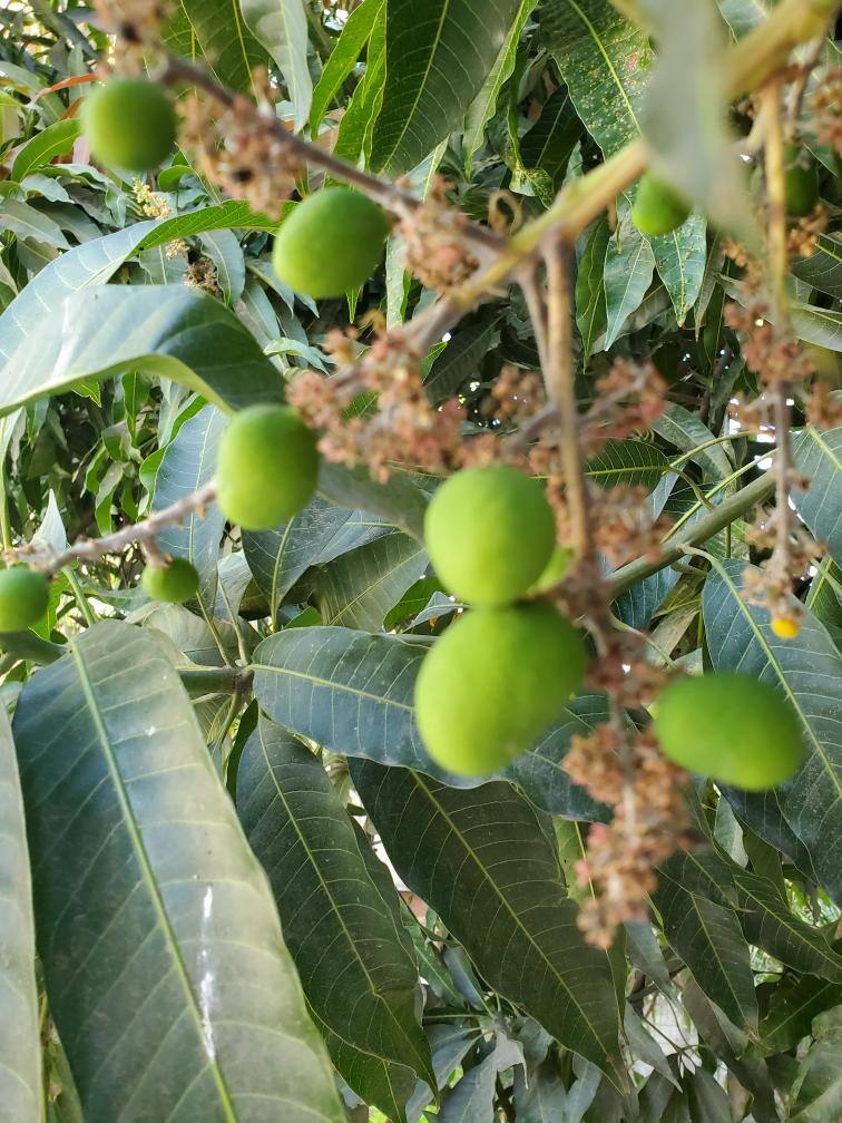 Vilasavathi Venkatachalam