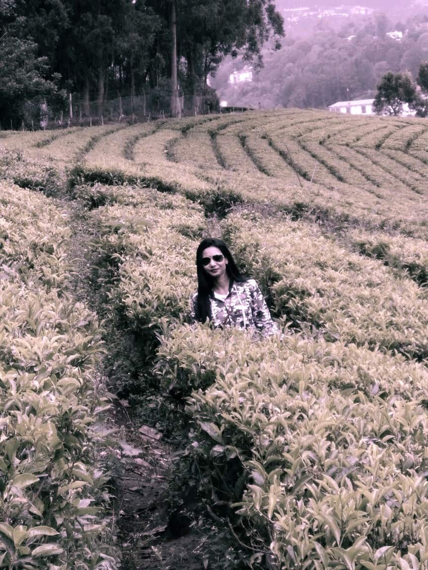 Rashmi
