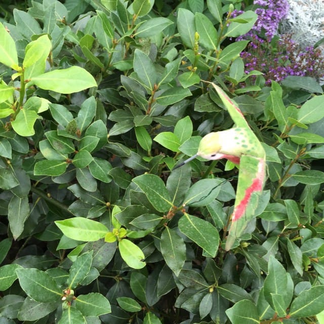 Breadsmith Milwaukee Public Market in Milwaukee Restaurant reviews