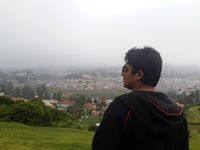 User